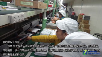 主板如何诞生——七彩虹集团科得工厂探秘与技术开发全解析