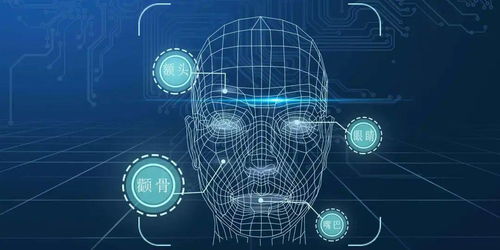 虚拟数字人亮相晋城，技术开发引领职场新变革